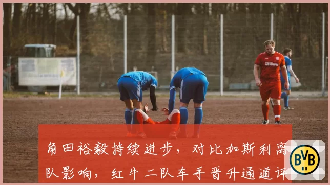 角田裕毅持续进步，对比加斯利离队影响，红牛二队车手晋升通道评估